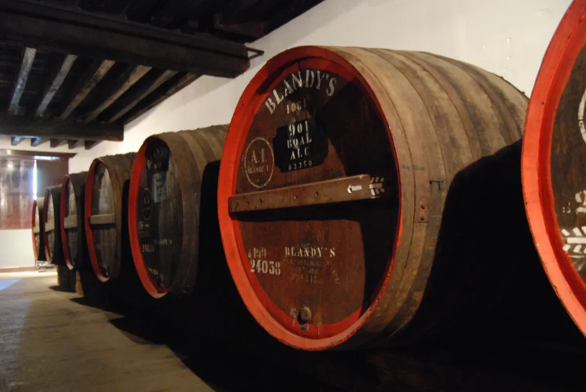 Large dark wooden Madeira wine barrels stacked inside the historic Blandy's Wine Lodge cellar in Funchal, Portugal