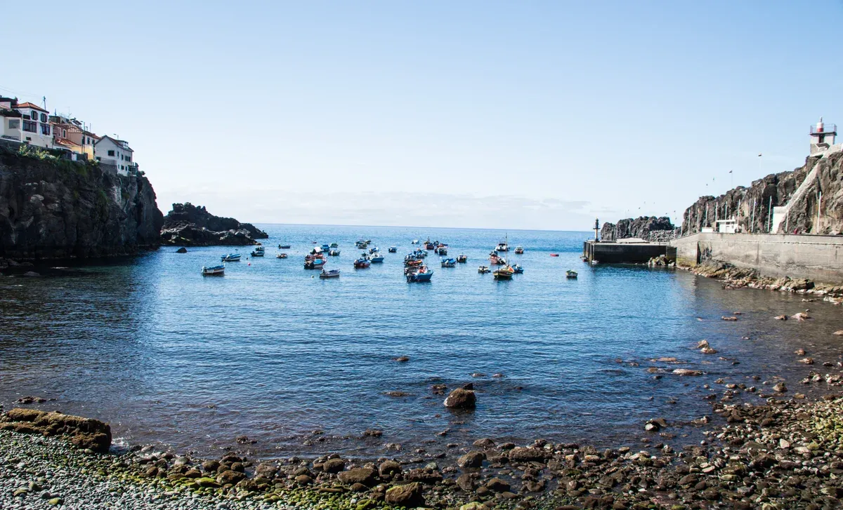 Fishing boats in the bay at Camara de Lobos, west of Funchal in Madeira