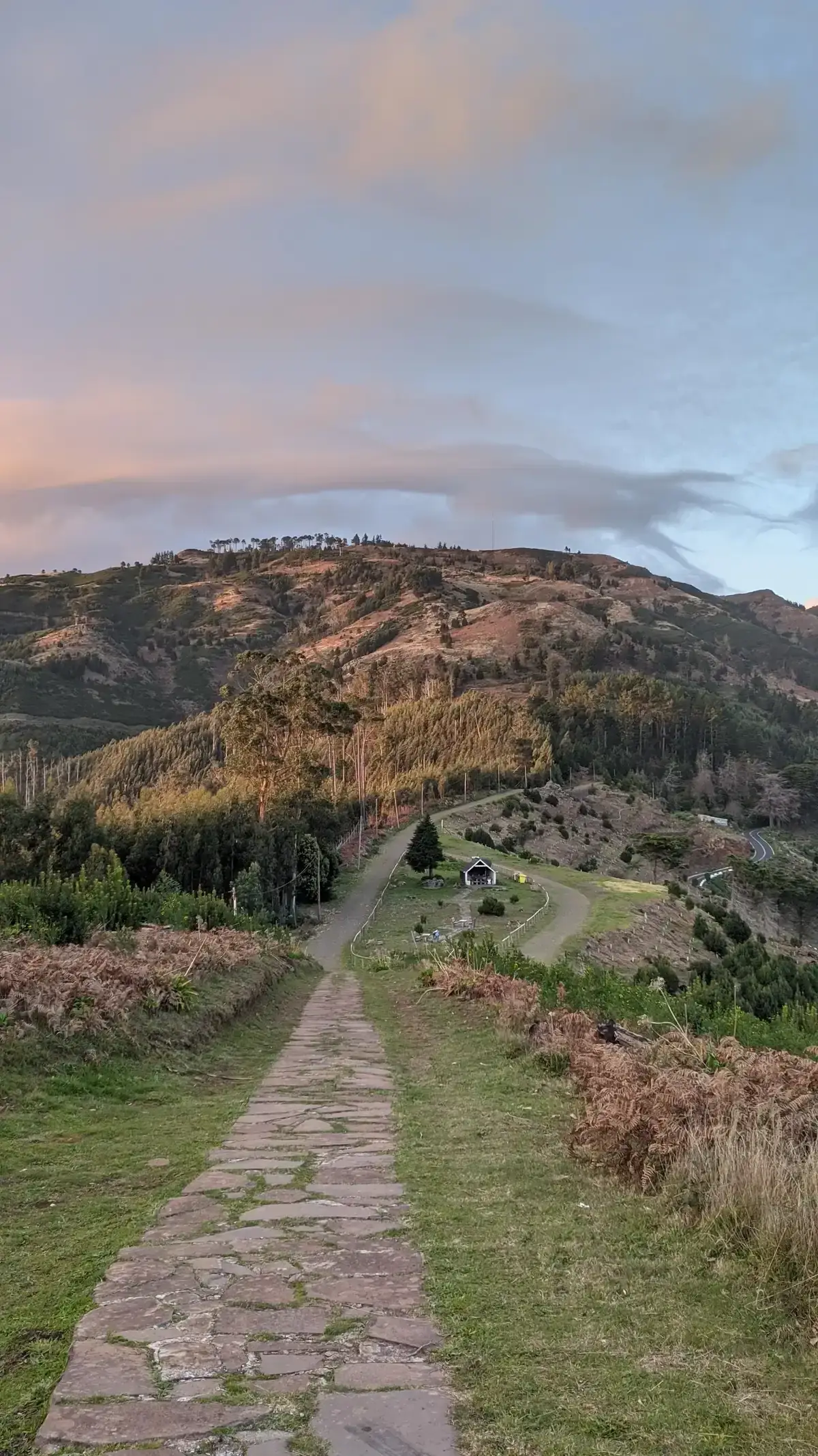 A stone path leading toward mountain peaks inside the Funchal Ecological Park, Madeira