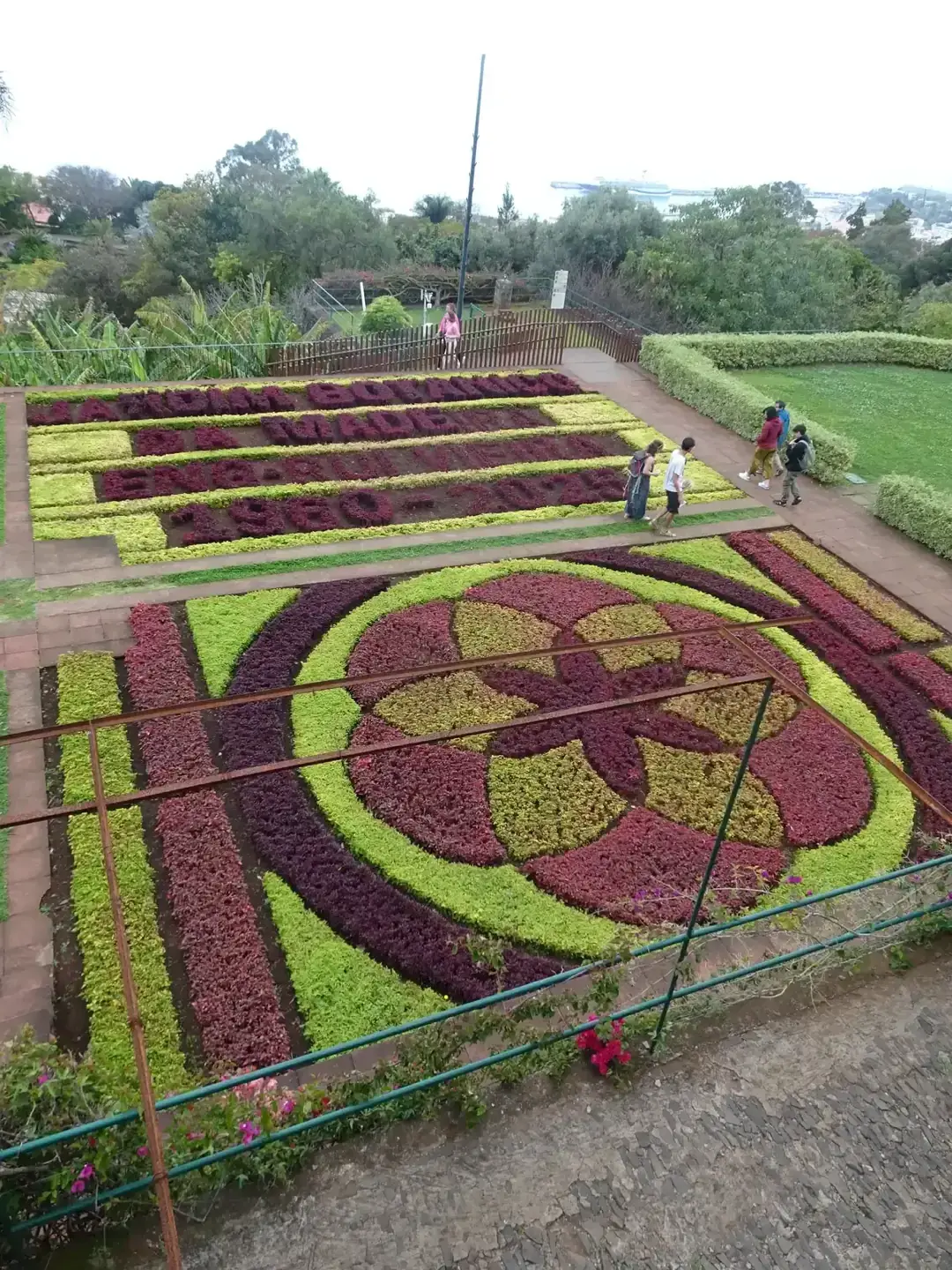 Ornamental flowerbeds planted in a geometric pattern at the Madeira Botanical Garden, Funchal, Portugal