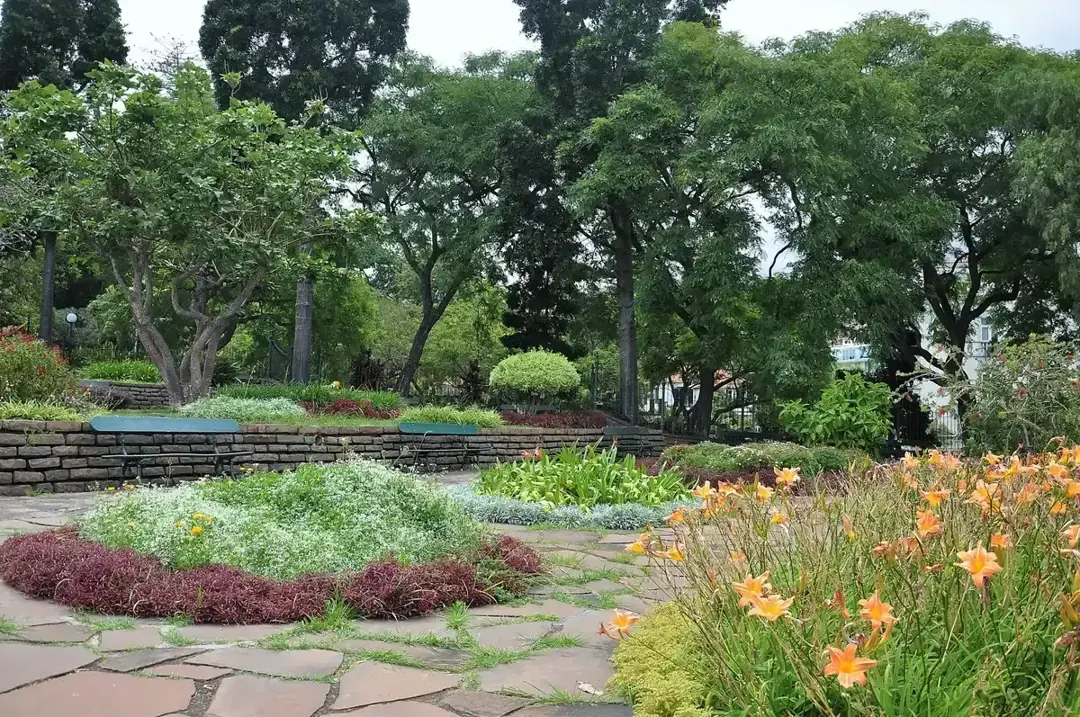 Flowerbeds, benches and tall trees in Santa Catarina Park in central Funchal, Madeira