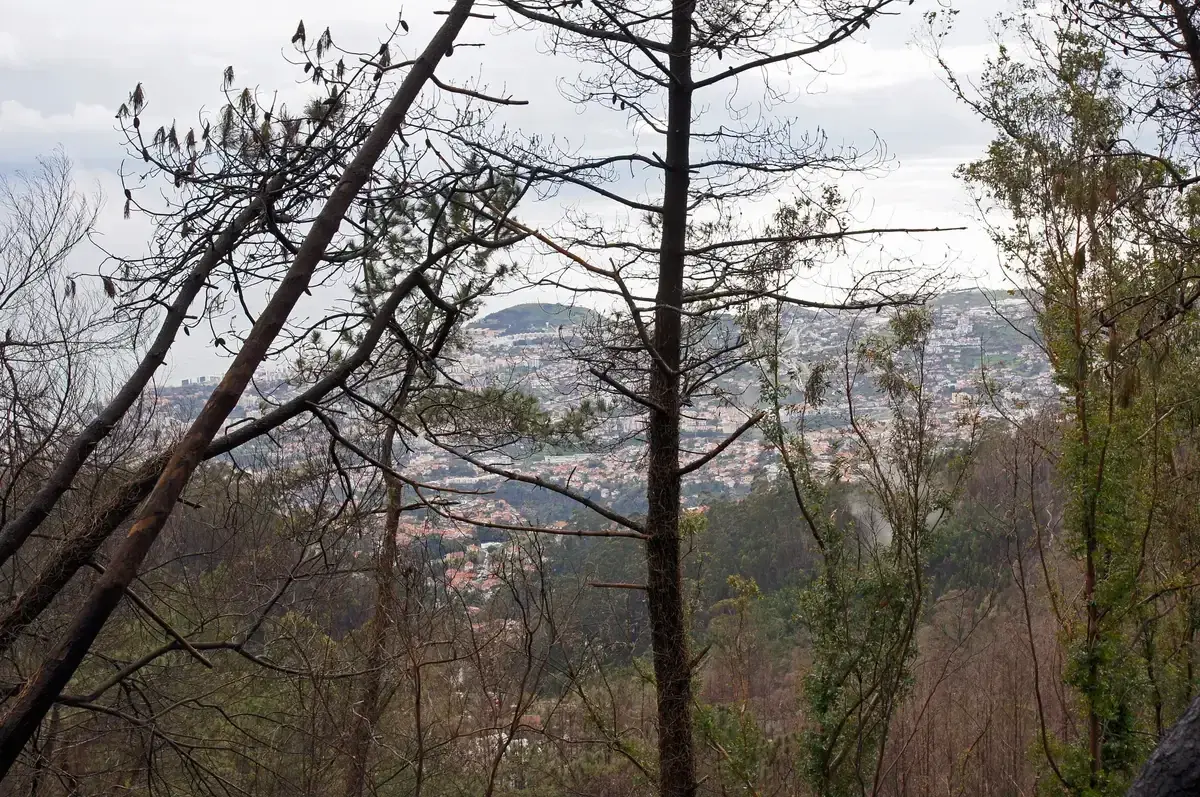 The Terreiro da Luta viewpoint above Funchal near the Nossa Senhora da Paz sanctuary, Madeira, Portugal